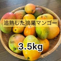 摘果マンゴー3/20② 楽天市場】【7/20限定！全額ポイントバックの大チャンス】”宮崎