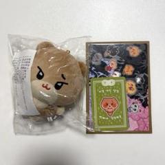 SEVENTEEN ディノ ぬいぐるみ マスター - メルカリ
