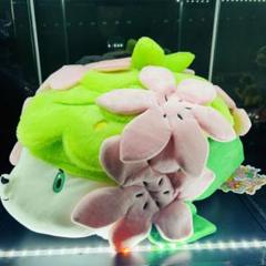 ポケモン シェイミ もっちりぬいぐるみ ポケモンセンター 20周年