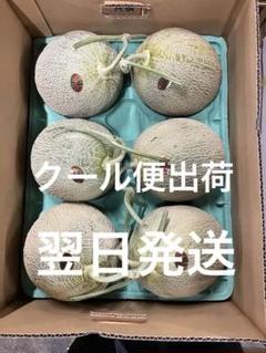 夕張メロン個選品 訳あり 4-6玉サイズ 約8キロ クール便 - メルカリ