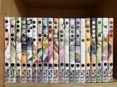 ヒカルの碁 完全版 初版 帯付き リーフレット付き 1〜20巻 全巻セット 全巻初版 ヒカルの碁 完全版 1〜20巻 全巻セット＋1冊 まとめ