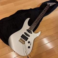 たっち様専用です】FERNANDES ゴールドパーツ仕様 トレモロ