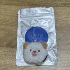 DAY6 OFFICIAL GOODS – JYP JAPAN ONLINE STORE