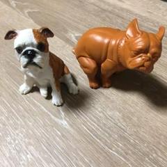 2024年最新】いきむ犬の人気アイテム - メルカリ