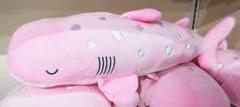 沖縄美ら海水族館 限定販売 ジンベイザメ ③