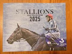 社台スタリオンステーション スタリオンブック 種牡馬展示会2025年度版
