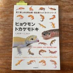 ヒョウモントカゲモドキ 飼育の中古 未使用品 メルカリ