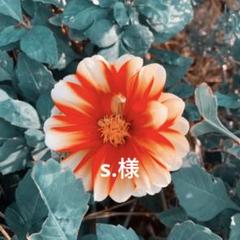 s.様