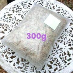 だ〜ぐ様 フォロー割 専用出品 2025年最新】フォロー割実施中！の人気アイテム - メルカリ