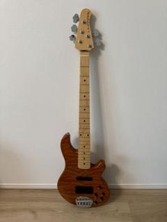 LAKLAND bartolini 5弦 dipスイッチ 旧ノブ 2025年最新】5弦ベース laklandの人気アイテム - メルカリ