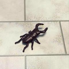 リーメントミニチュア　クワガタ