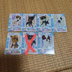 ばら売り可 ワンタメ パピーカード ゴールド レア ほっかいどういぬ キラ ばら売り可 ワンタメ パピーカード ゴールド レア ほっかいどう