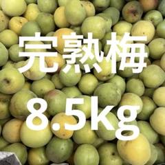 【松永産】　6/13収穫分　完熟梅　12kg 松永産】 6/13収穫分 完熟梅 12kg - メルカリ