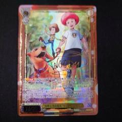 ヴァイスシュヴァルツ　ペーター・シュトラッサー　SP サイン　BGS10 PSA10】ヴァイスシュヴァルツ ペーター・シュトラッサー SP