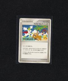 トロピカルウインド 2004 スペイン 2004 Pokemon World Championship Promo 26 Tropical Wind No