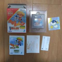 初回フルセット　不思議のダンジョン風来のシレンG B月影村の怪物　ゲームボーイ 風来のシレンGB 月影村の怪物 箱説ハガキ付き チュンソフト