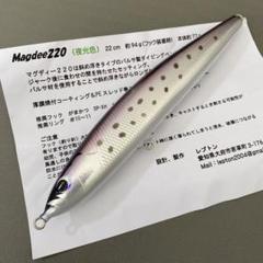 レプトン　マグロ用　マグディー220（夜光色） m13717171727_1.jpg?1675472665