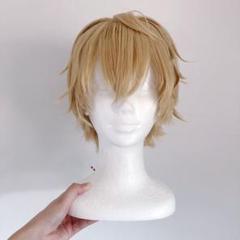 にじさんじ エクスアルビオ ウィッグ にじさんじ エクス・アルビオ コスプレ ウィッグ - メルカリ