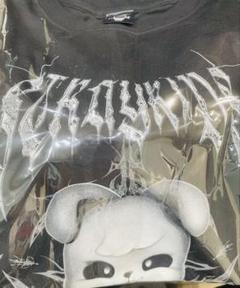 Stray Kids - スキズ SKZOO MINI PLUSH ぬいぐるみ バンチャンの