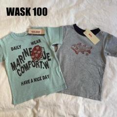 【新品未使用】WASK くじら お魚 Tシャツ 100cm 2枚セット