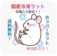 国産冷凍マウス ホッパーL 50匹 (一部地域発送不可) 国産冷凍マウス ホッパーL50匹 (送料無料一部地域発送不可)