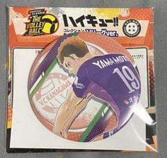 ハイキュー‼︎ コレクション缶バッジ Vリーグ コラボ 山本猛虎