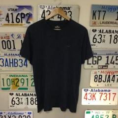 USA古着 HOLLISTER プリントTシャツ サイズXL