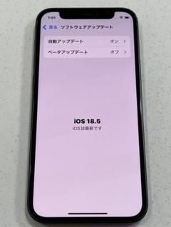 iPhone se2 128Gb 水没ジャンク iPhone se2 128GB ※ジャンク品