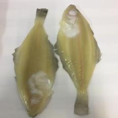 カレイの一夜干し二枚 食べれないよ食品サンプル( ͡° ͜ʖ ͡°)