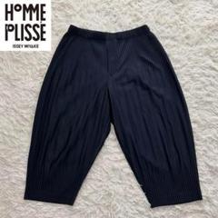極美品✨HOMME PLISSE プリーツ　ブラック　サルエルパンツ 美品HOMME PLISSÉ ISSEY MIYAKE サルエルブラックサイズ3 - メルカリ