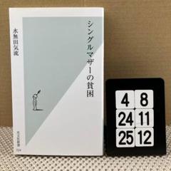 シングルマザーの貧困 4-8*2425*12