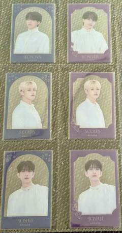 SEVENTEEN 未開封　缶ケース入りクリアカードセット　museum コンプ NEWS | SEVENTEEN Japan official site