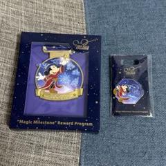 香港ディズニー 年パス 特典 ピンバッジ メダル ファンタジア