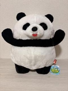 パンダのタイタイたっちBIGぬいぐるみ ≪6月の新商品≫パンダのタイタイ☆アミューズプライズ-NEW ITEM