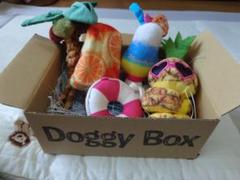 2025年最新】DoggyBOXの人気アイテム - メルカリ