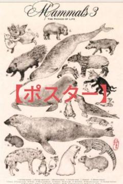 2025年最新】大哺乳類展 ポスターの人気アイテム - メルカリ