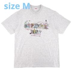 Supreme Varsity Tee "Ash Grey" M sizeのサムネイル