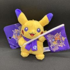 新品 ピカチュウ ぬいぐるみ サンフレッチェ ポケモンセンターヒロシマ 広島限定