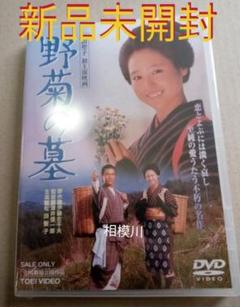 野菊の墓('81東映/サンミュージック) DVD 新品未開封