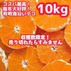 2025年最新】デコポン 訳あり 10kgの人気アイテム - メルカリ