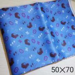 鬼滅の刃 冨岡義勇 生地 50cm✕70cm