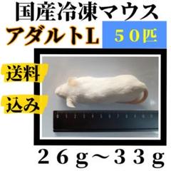 アダルトL 50匹 国産冷凍マウス。爬虫類の餌 両生類、肉食魚、猛禽類の餌などに by メルカリ