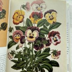 花柄装丁の稀少なお歌の絵本 洋書❀古書 ビンテージ ボタニカル アンティーク ❀花柄装丁の稀少なお歌の絵本*洋書 アンティーク ボタニカル