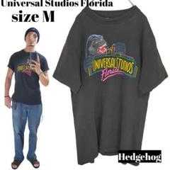 希少ユニバーサルスタジオフロリダ ヴィンテージ フェード Tシャツ キングコング