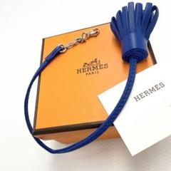 希少/未使用保管品✨エルメス カルメンチータ チャーム ブルー