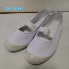 値下げ！メルカリ市まで！バレエシューズ！！ お値下げ中】ほぼ新品 上履き バレーシューズ 24.5cm - メルカリ