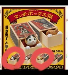 マッチボックス猫
