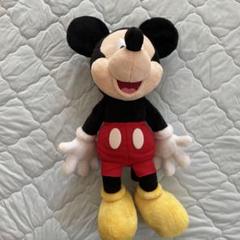ミッキーマウス ぬいぐるみ 約40cm ディズニー 東京ディズニー