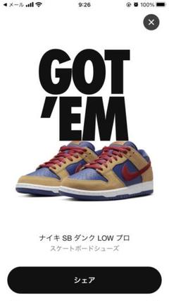 NIKE SB DUNK LOW PRO "WHEAT AND PURPLE"