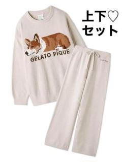 【新品】ジェラートピケ　SLEEPING DOGフレンチブルドッグ　上下セット Amazon | [ジェラート ピケ] エアモコSLEEPING DOG JQDプル